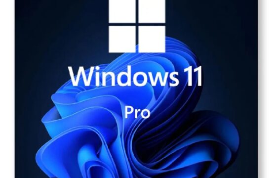 Windows 11 Professional Activation Key